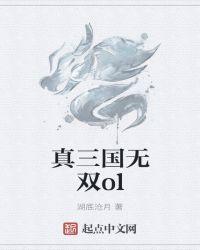 真三国无双ol 北斗与南斗