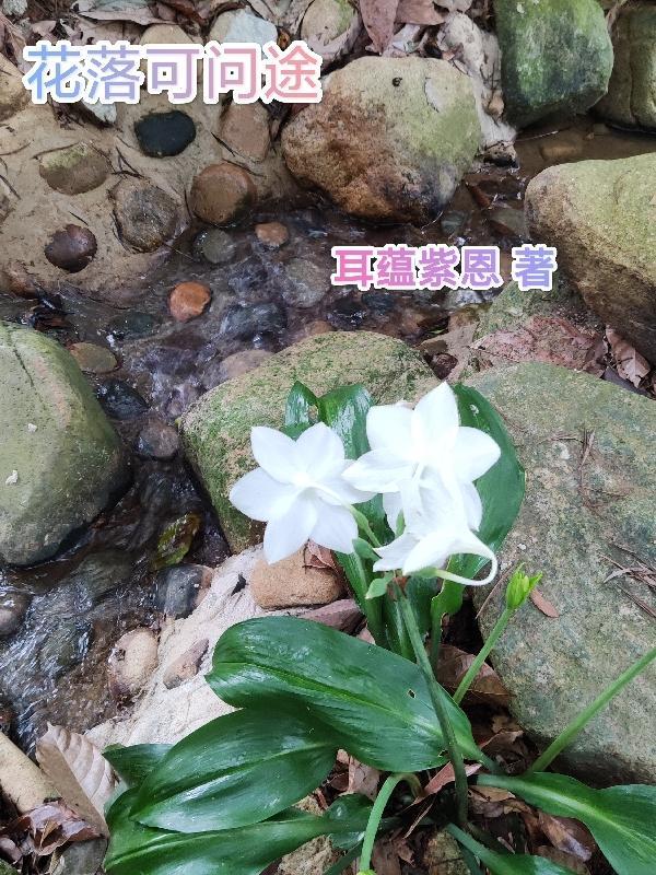 花落为谁